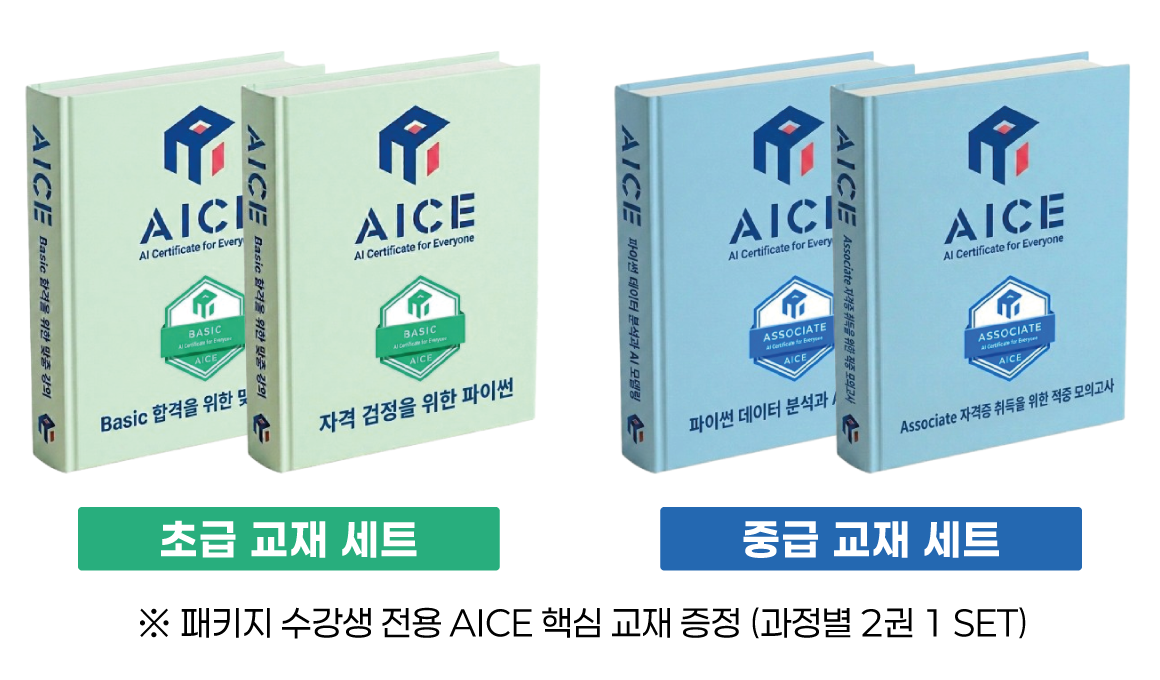 AICE 수강생 전용 교재 - 초급/중급 교재 세트